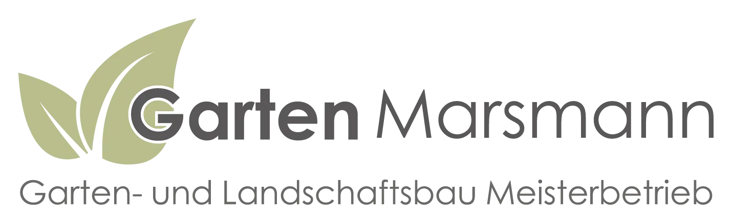 gm.brands-plus.com